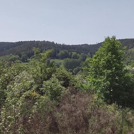 Sessles Waldhaeusschen Dietzhausen Зуль Экстерьер фото